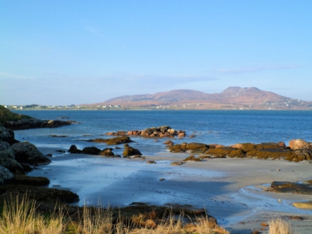 View from beach cottage conservation project